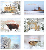 Luxus-Weihnachtskarten | Sätze