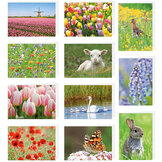 Blanko Grußkarten | Sätze