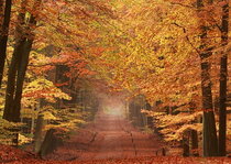 Herbst Postkarten | Landschaft