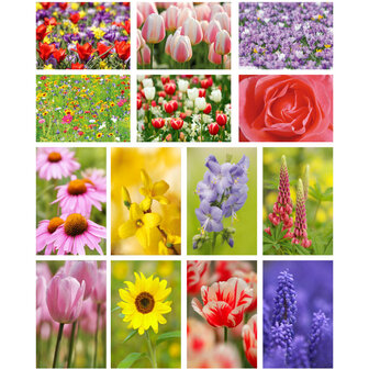 bloemen-kaarten-set