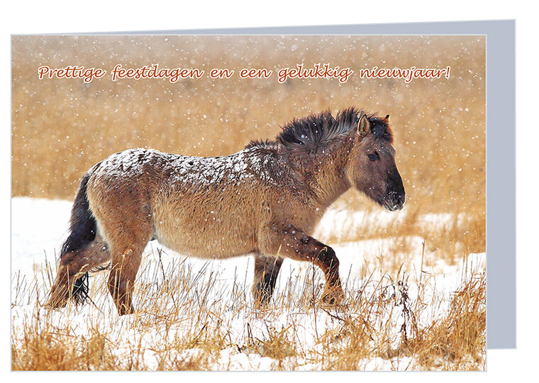 Weihnachtskarte Konik Pferd im Schnee (K003)