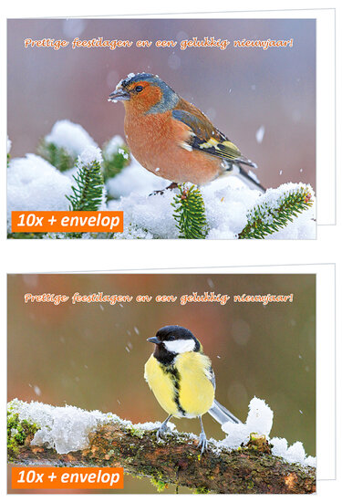20 luxe kerstkaarten vink en koolmees - gevouwen kaarten met envelop (set nr. 115)