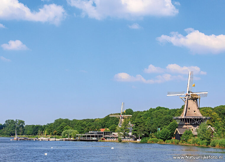 Rotterdam Postkarte - MĂĽhlen am Kralingse Plas (0850)