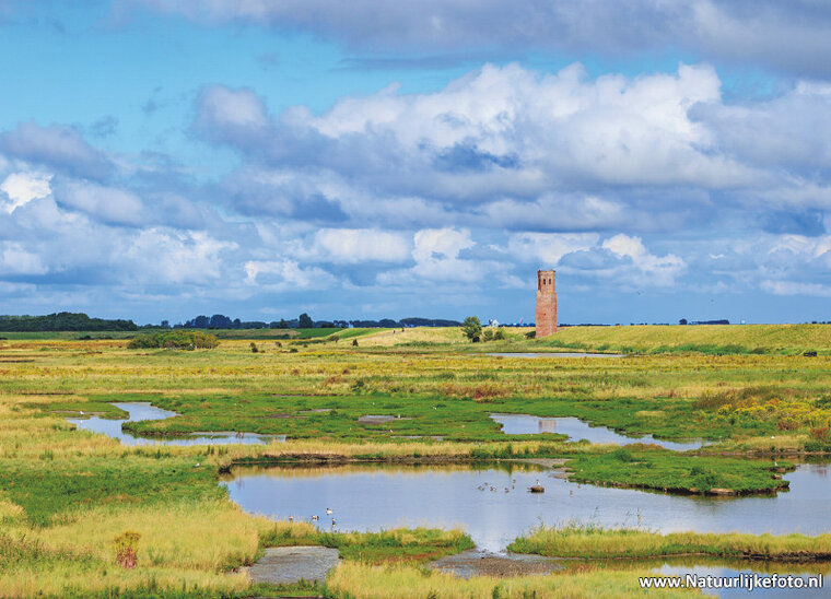 Postkarte Burgh-Haamstede – Praller Turm (0865)