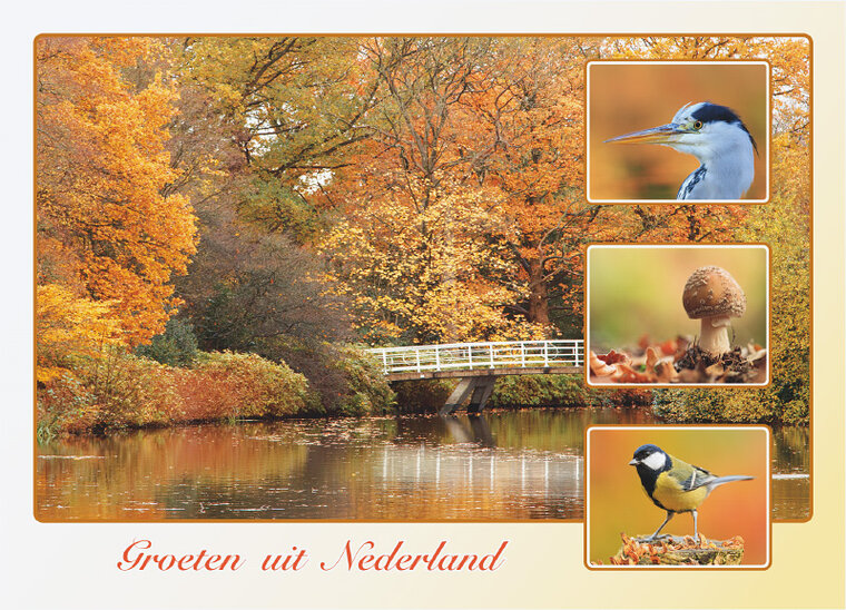 Postkarte groeten uit Nederland Herbst (AH0033)