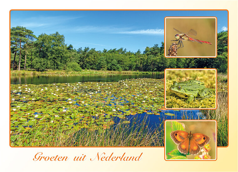 Postkarte groeten uit Nederland (AH0040)