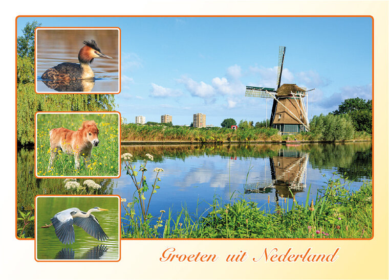 Postkarte groeten uit Nederland (AH0038)