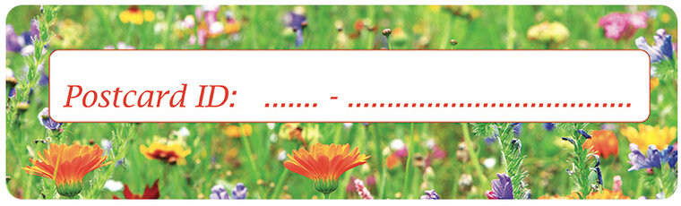 Postcrossing Postcard ID stickers - 6x Wildblumen