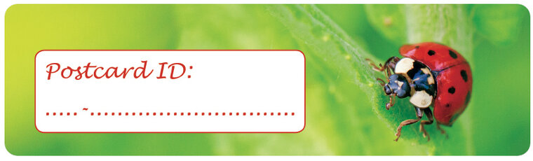 Postcard ID stickers - 6x Marienkäfer