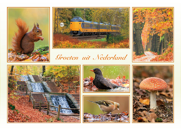 Postkarte groeten uit Nederland Herbst (AH0027)