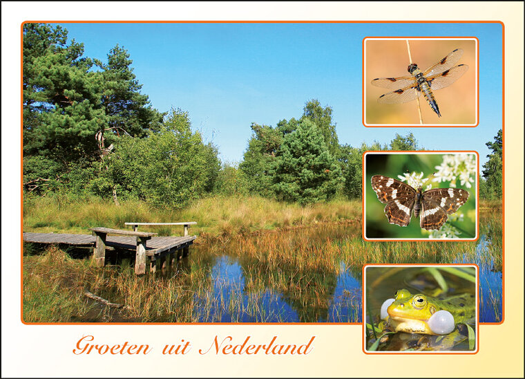 Postkarte groeten uit Nederland (AH0025)