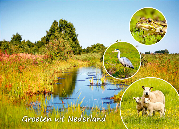 Postkarte Groeten uit Nederland 005