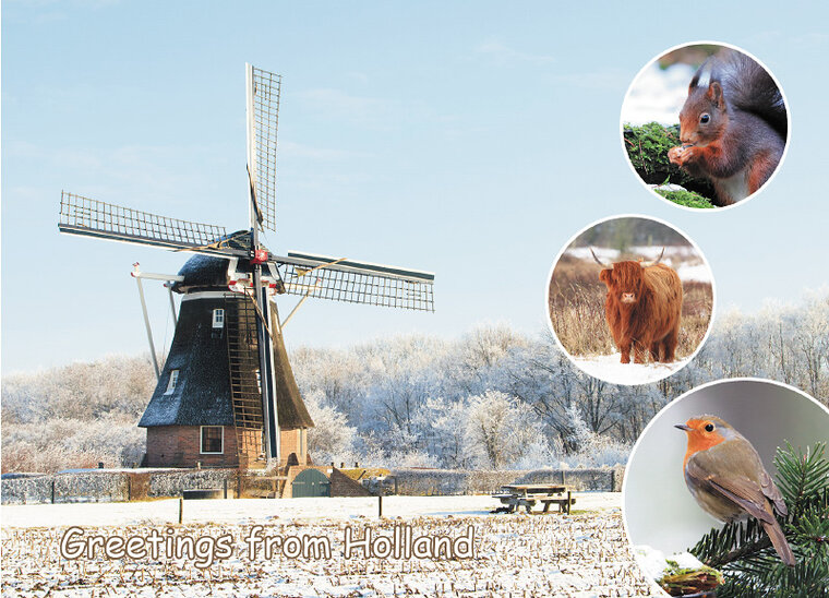 Postkarte Greetings from Holland 007