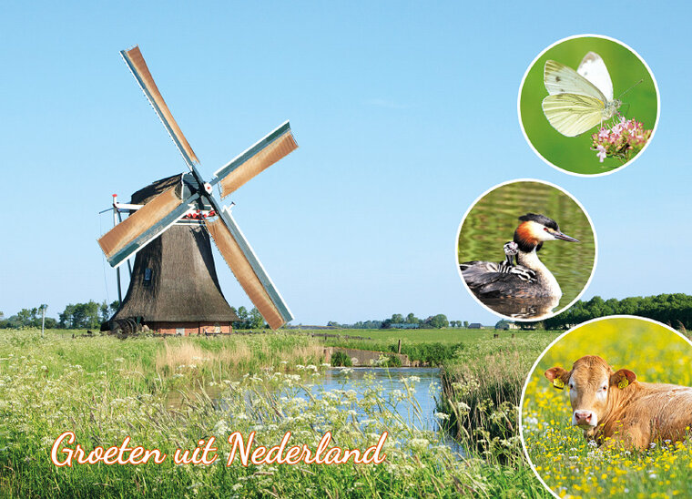 Postkarte groeten uit Nederland (AH0008)