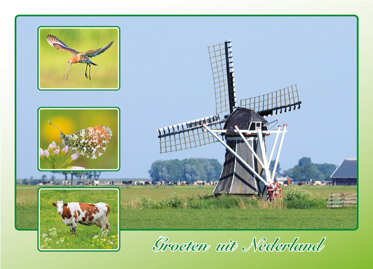 Postkarte groeten uit Nederland - Postcrossing kaarten top 100 (AH0009)