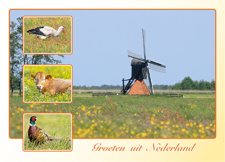 Postkarte groeten uit Nederland 010