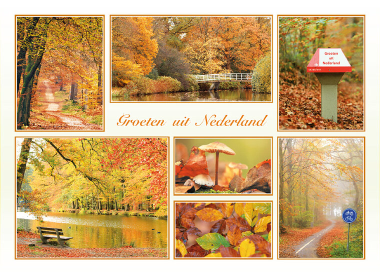 Postkarte groeten uit Nederland Herbst (AH0017)