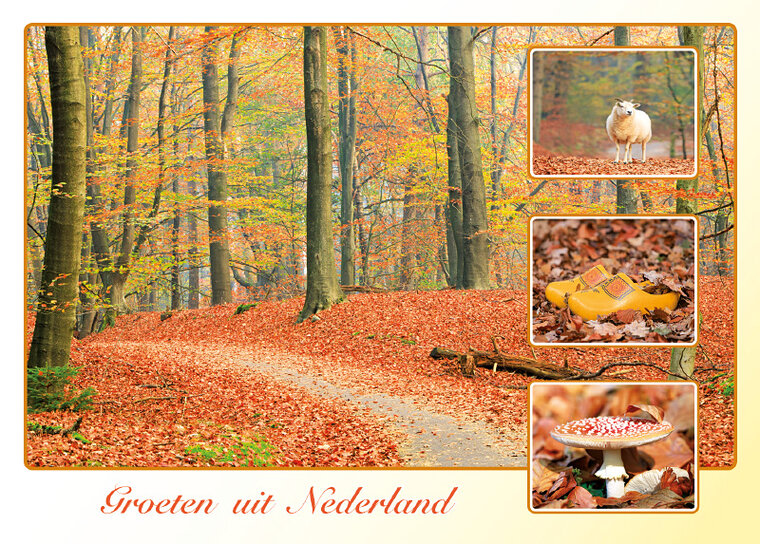 Postkarte groeten uit Nederland (AH0023)