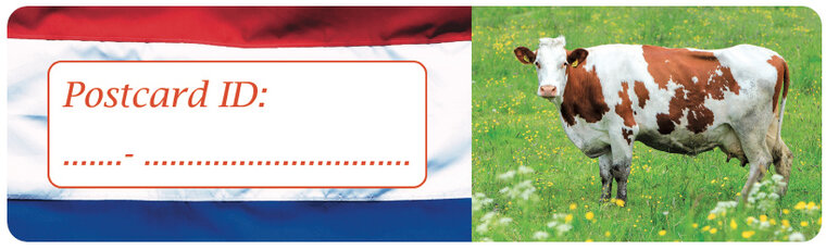 Postcrossing postcard ID stickers - 6x Flag Niederlande + Kuh