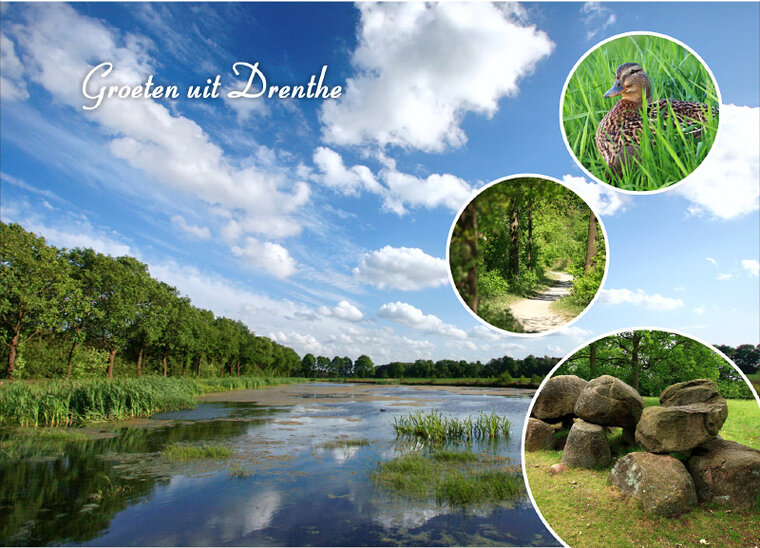 Postkarte Grüße von Drenthe (DR005)