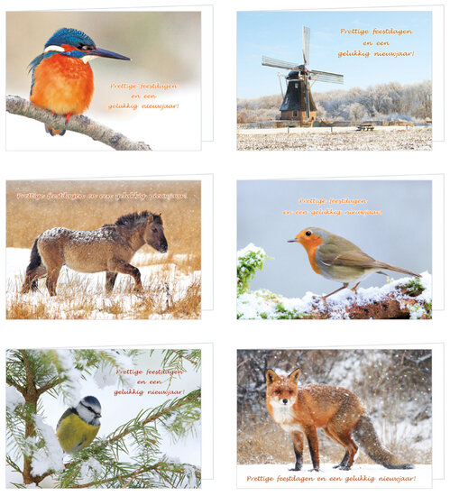 Luxus-Weihnachtskarten-Set - 30 Doppelkarten mit Umschlag (set nr. 105)