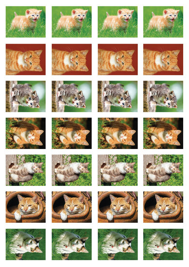 Belohnungsaufkleber Katzen - 28 Sticker auf einem Bogen (SV029)