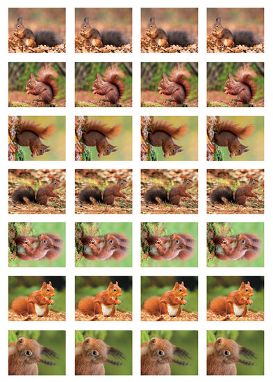 Belohnungsaufkleber Eichhörnchen