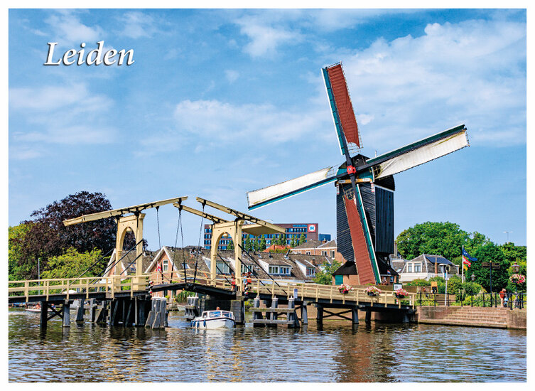 Leiden Postkarte - Mühle und Brücke (C102)