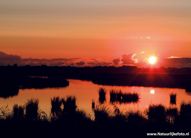 Sonnenuntergang Leekstermeer Postkarte (0732)