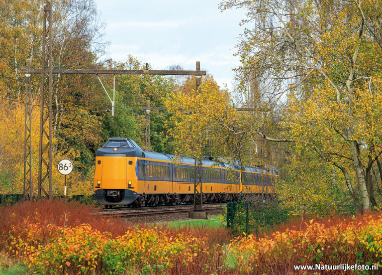 NS Zug im Herbst Postkarte (0741)
