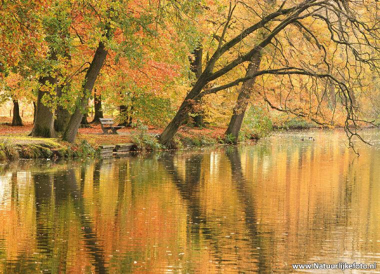 Postkarte bank in Herbst (0601)