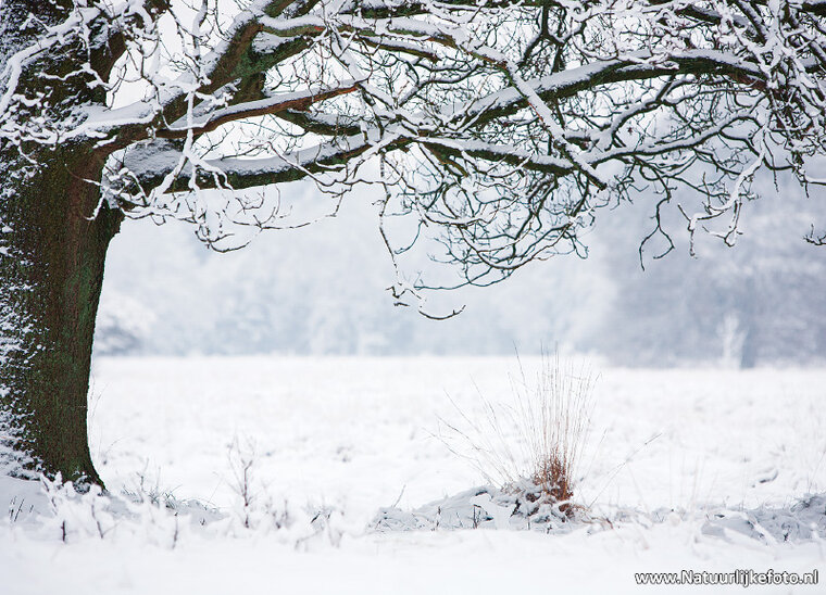 Postkarte Winter landschaft (0612)