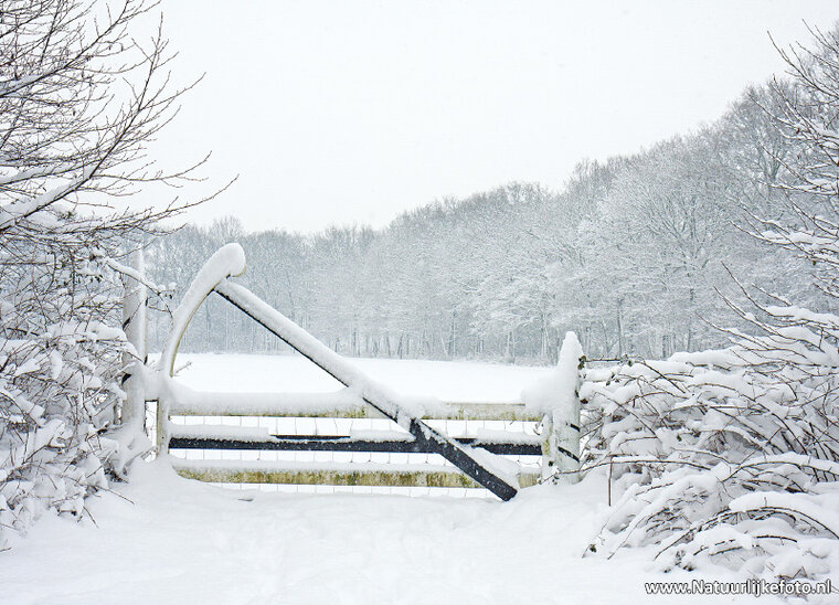 Postkarte Winterzaun auf Nienoord (0618)