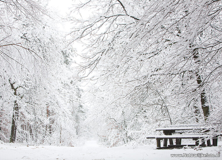 Postkarte Picknicktisch im Schnee (0619)