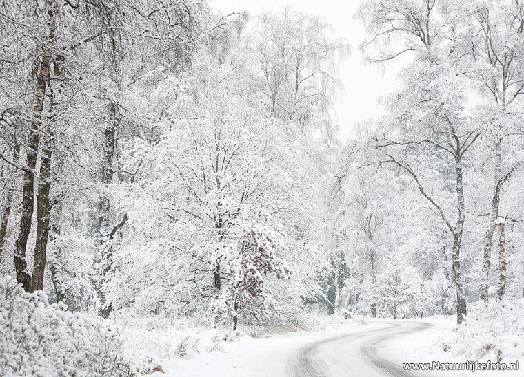 StraĂźe im Winter Postkarte (0621)