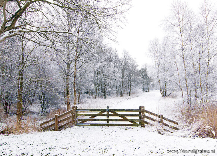 Postkarte Winterlandschaft in der Alde Feanen (0623)