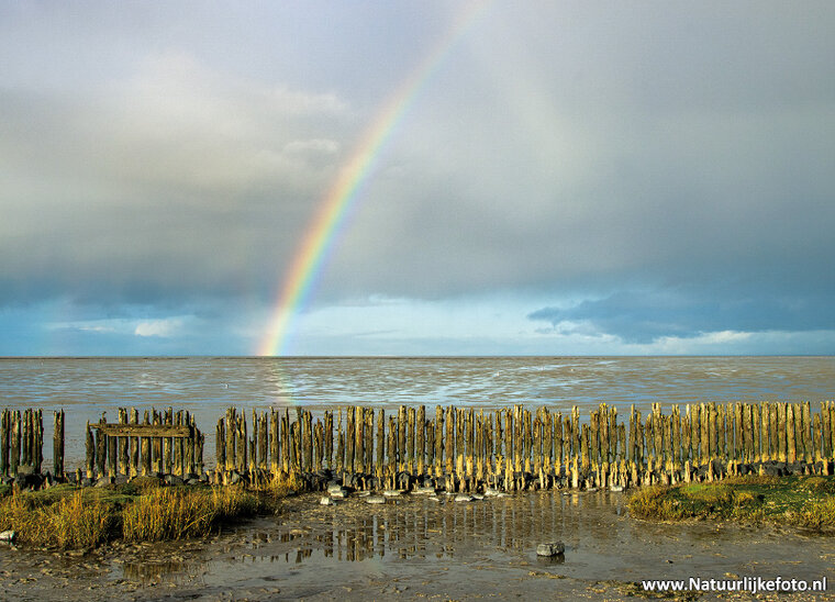 Postkarte Regenbogen (0674)