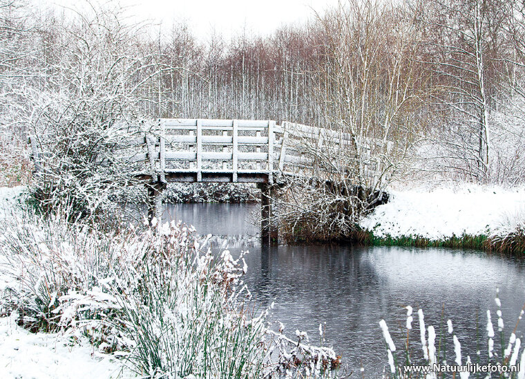 BrĂĽcke in winter Postkarte (0502)