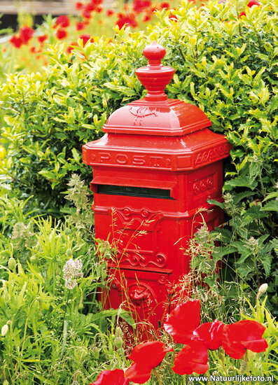 Rote Briefkasten Postkarte (0464)