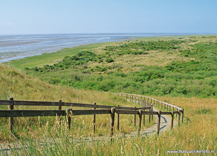 Oerd auf Ameland Postkarte (0474)