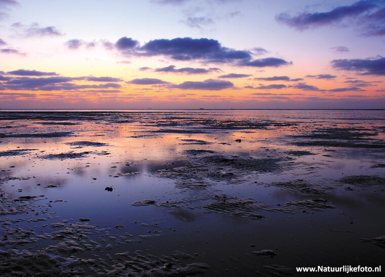 Wattenmeer Postkarte (0361)