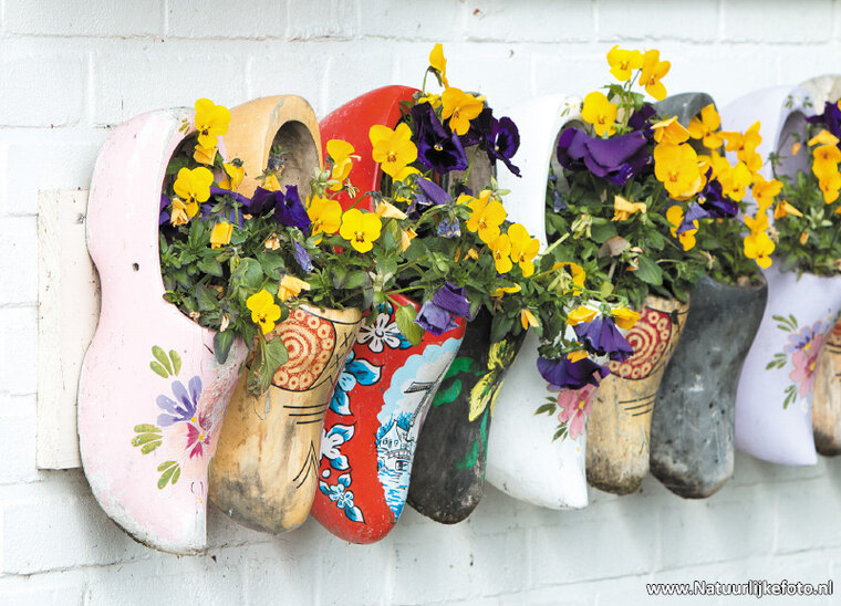 Holzschuhe mit Blumen Postkarte (0368)