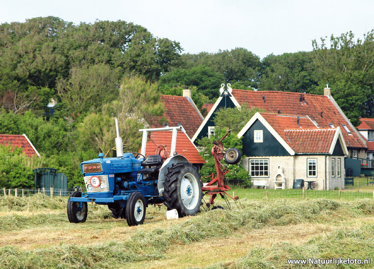 Postkarte Traktor Ford 3000 (0371)