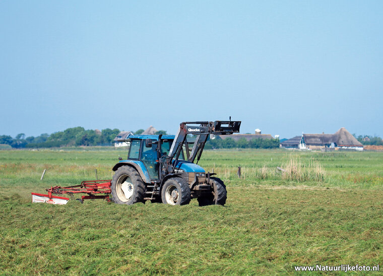 NewHolland TM115 Traktor Postkarte (0397)