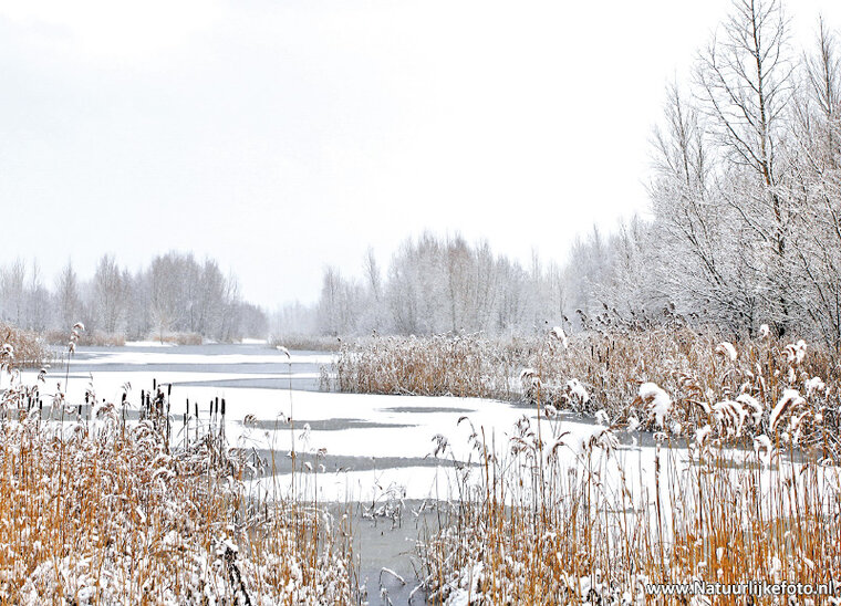 Winter landschaft Postkarte (0214)