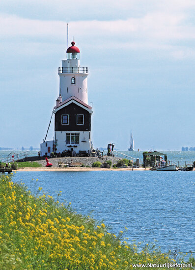 Leuchtturm Pferd von Marken Postkarte (0255)