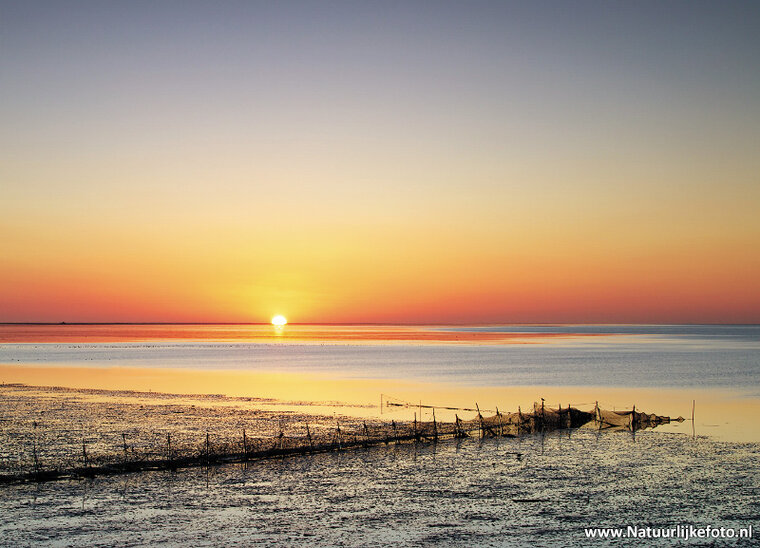 Wattenmeer Postkarte (0258)