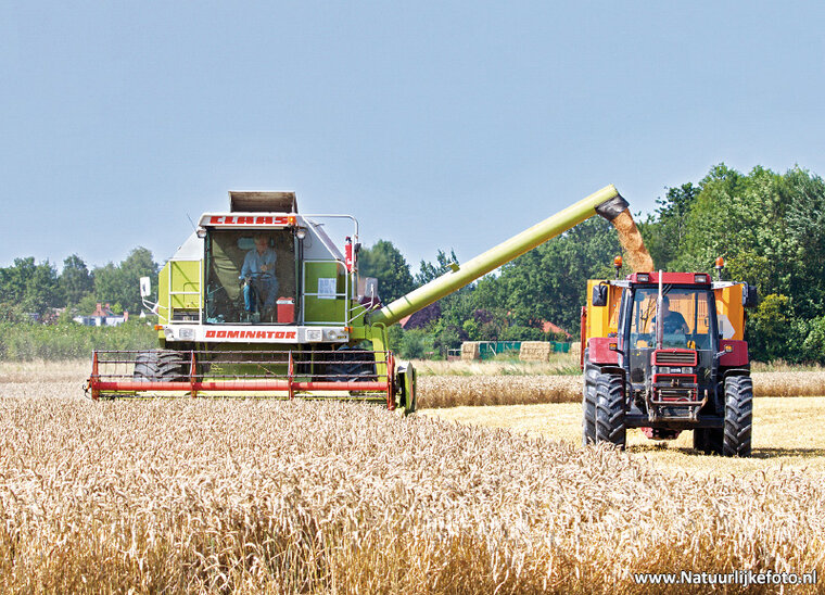 Mähdrescher mit Traktor Postkarte (0274)