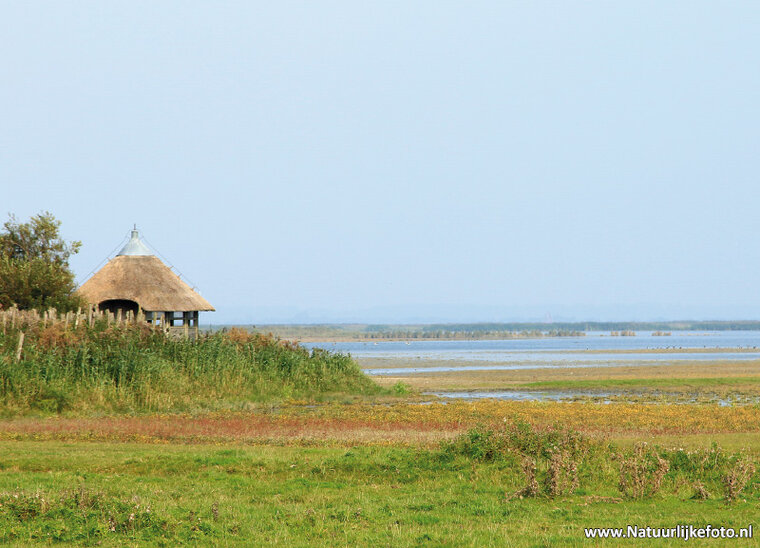 Lauwersmeer Postkarte (0284)