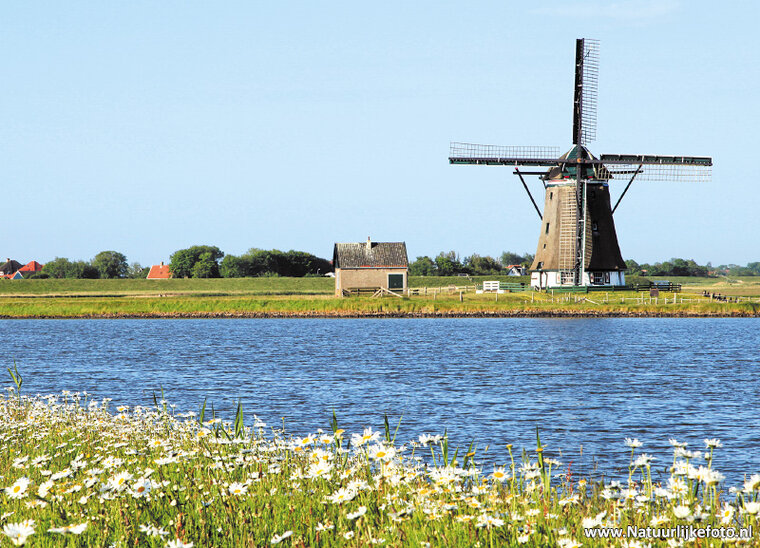 Mühle Nord auf Texel Postkarte (0300)